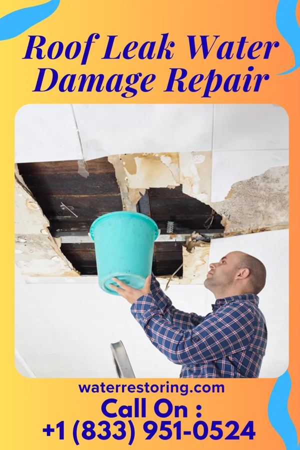 Roof Leak Water Damage Repair in Questa, NM